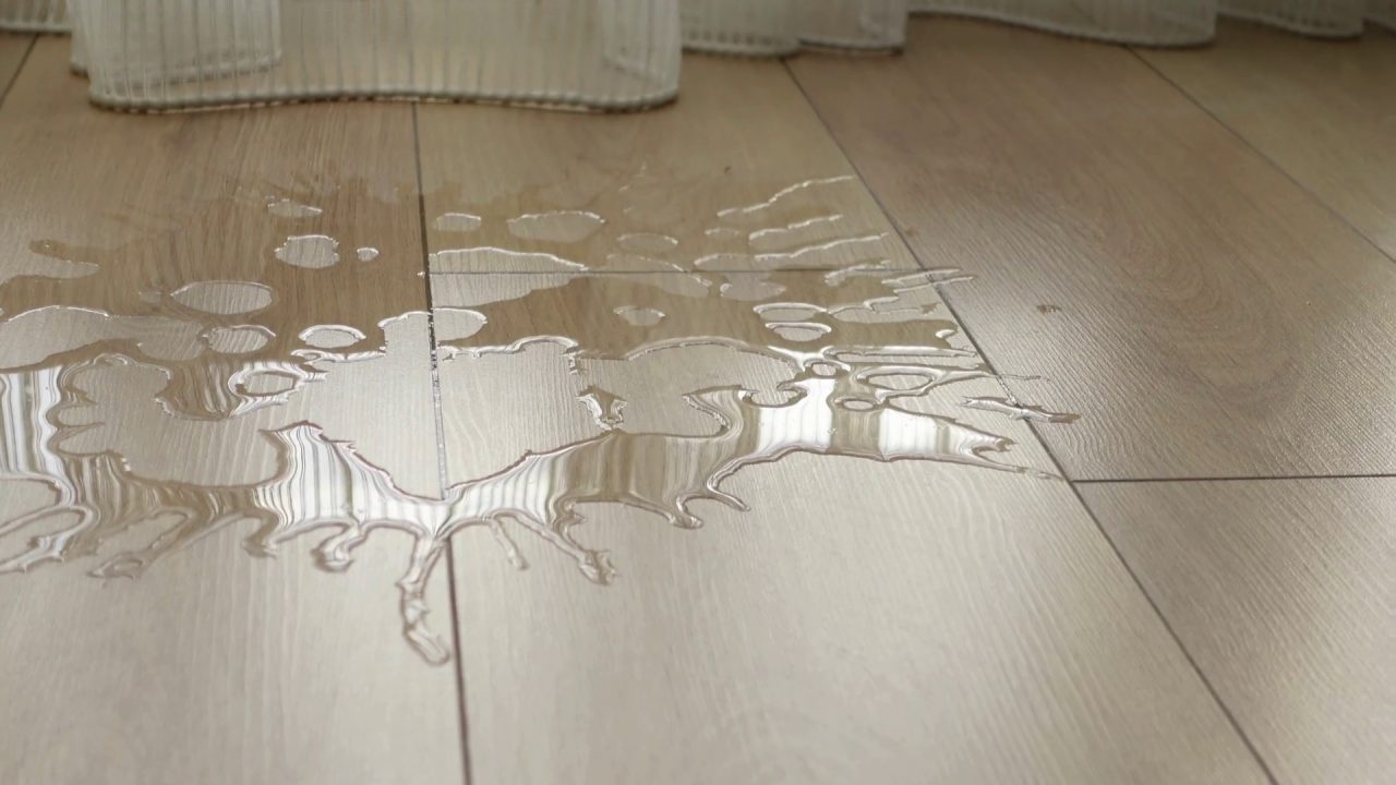 Aisle Puddles and Leaks — PVC1